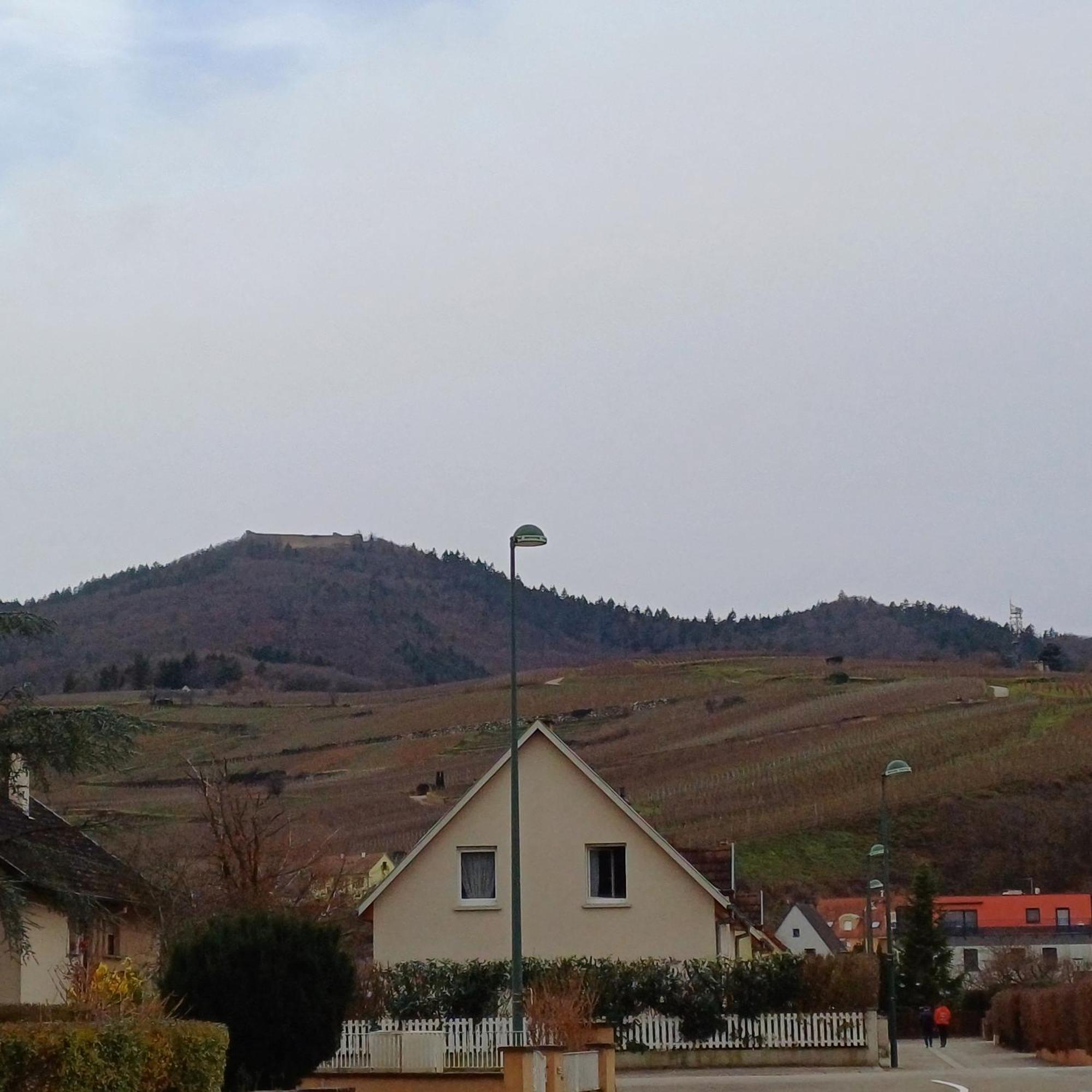 Les Vignobles D'Alsace Hotel Винценайм Екстериор снимка